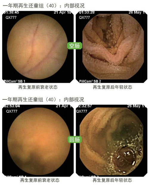 加拿大pc28预测(中国区)官方网站