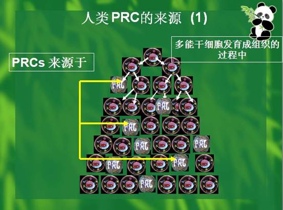 加拿大pc28预测(中国区)官方网站