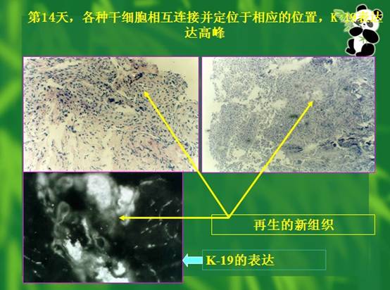 加拿大pc28预测(中国区)官方网站