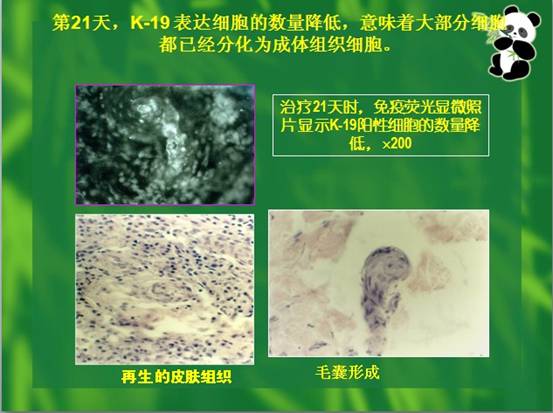 加拿大pc28预测(中国区)官方网站