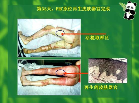 加拿大pc28预测(中国区)官方网站