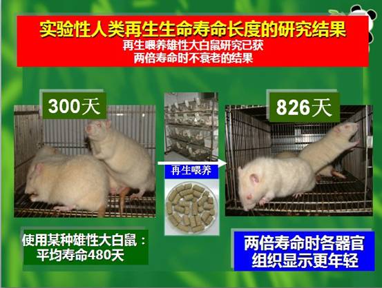加拿大pc28预测(中国区)官方网站
