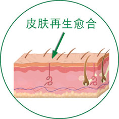 加拿大pc28预测(中国区)官方网站