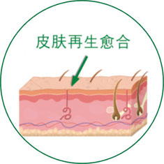 加拿大pc28预测(中国区)官方网站