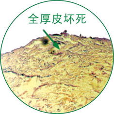 加拿大pc28预测(中国区)官方网站