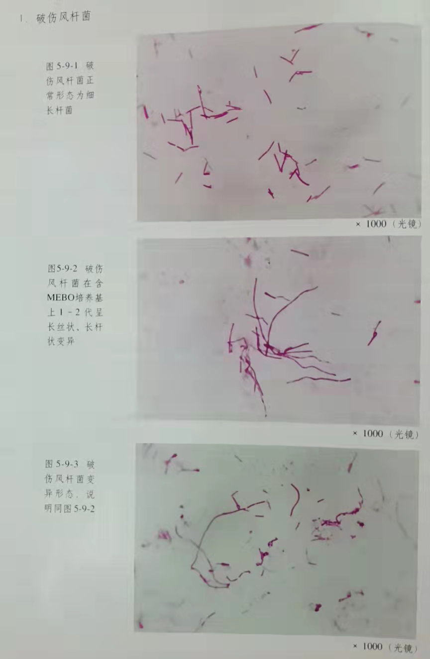 加拿大pc28预测(中国区)官方网站