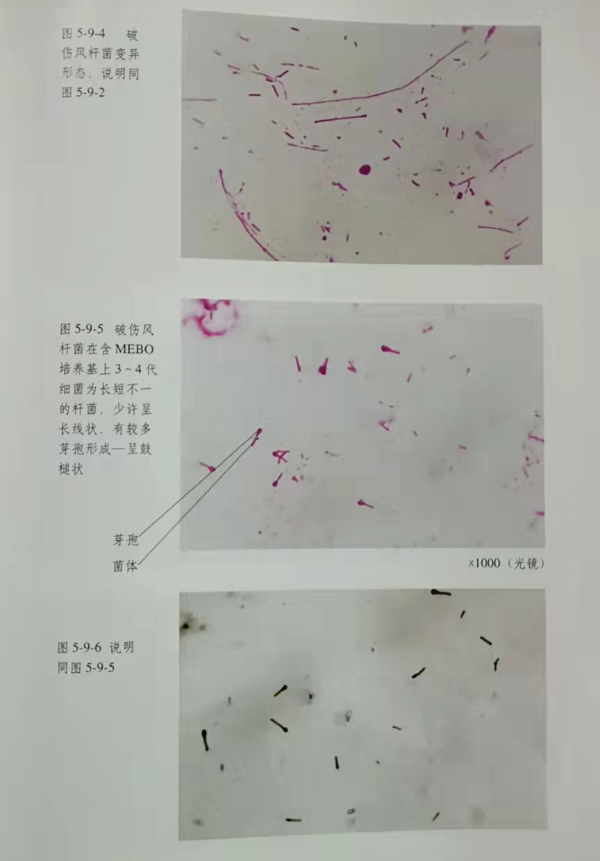 加拿大pc28预测(中国区)官方网站