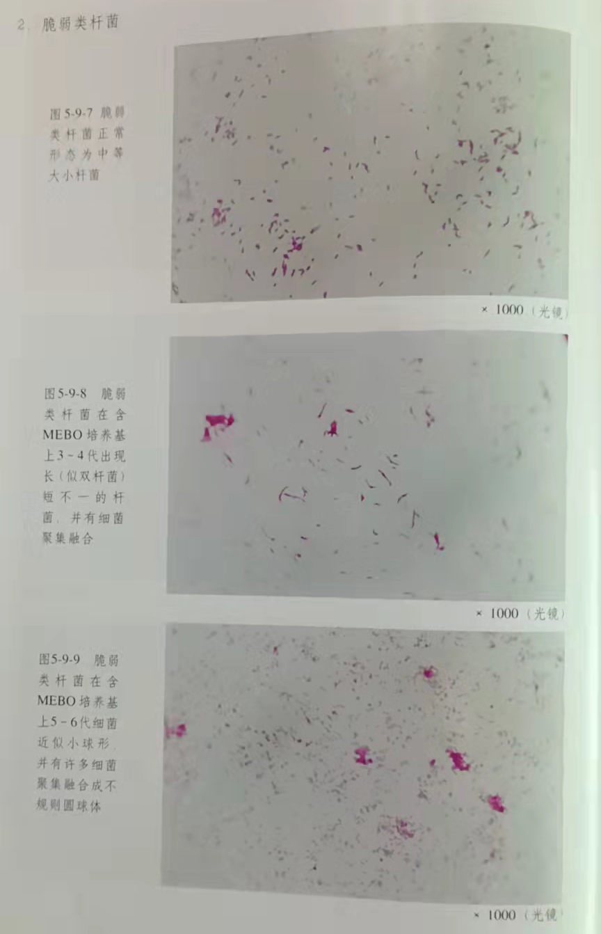 加拿大pc28预测(中国区)官方网站