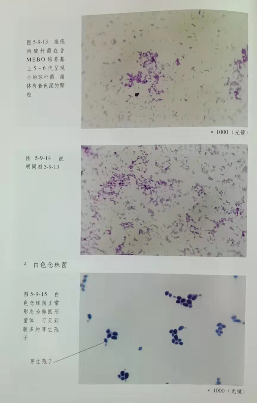 加拿大pc28预测(中国区)官方网站
