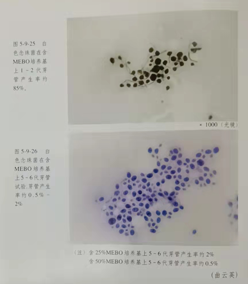 加拿大pc28预测(中国区)官方网站