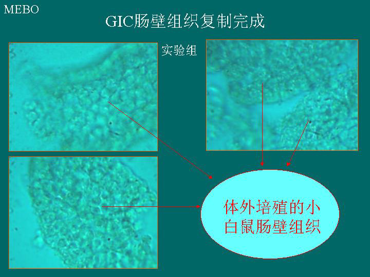 加拿大pc28预测(中国区)官方网站
