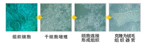加拿大pc28预测(中国区)官方网站