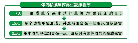 加拿大pc28预测(中国区)官方网站