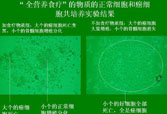加拿大pc28预测(中国区)官方网站